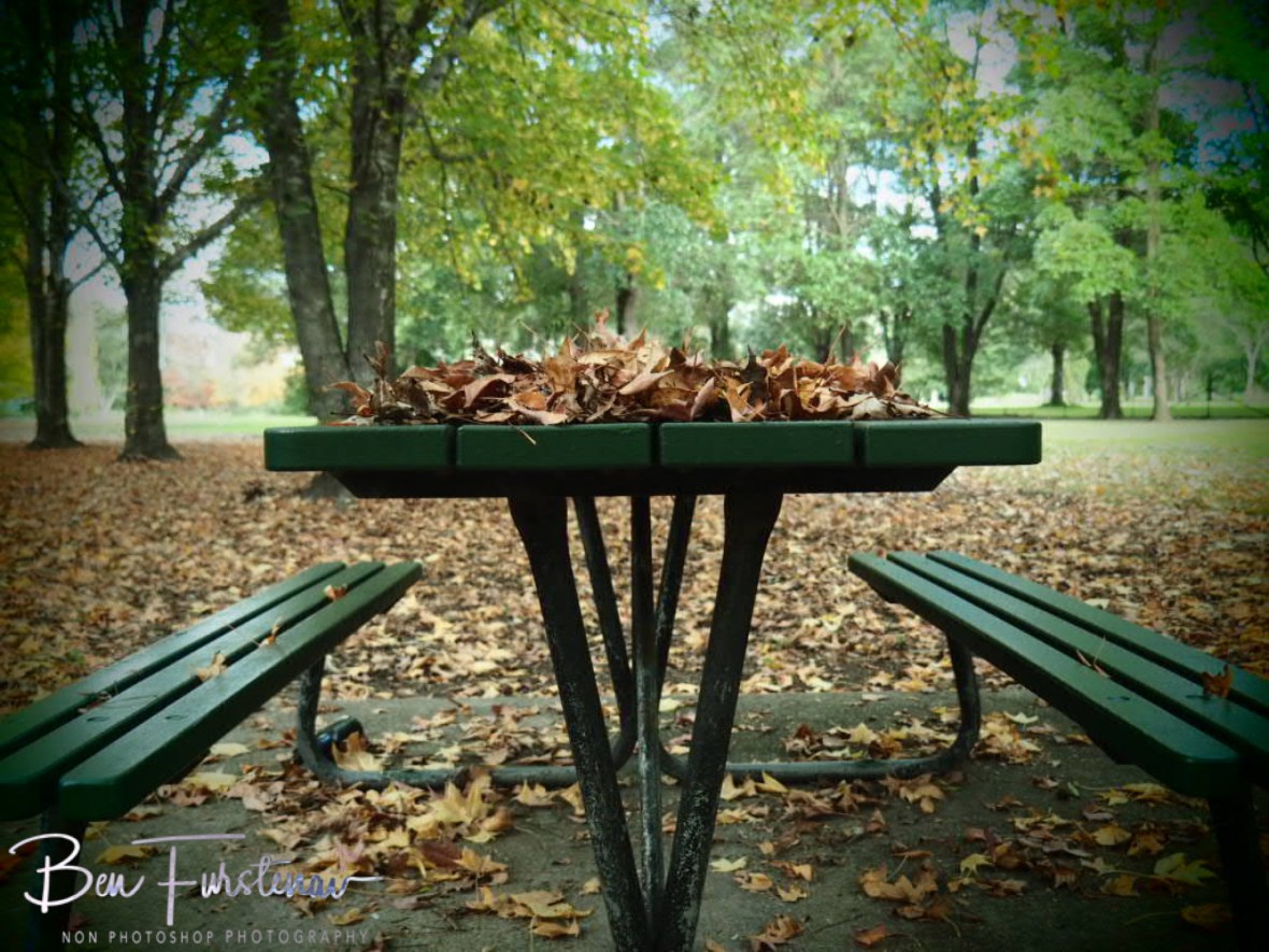 Act today for tomorrow @ Wiseman’s Ferry, Central Coast, New South Wales, Australia 