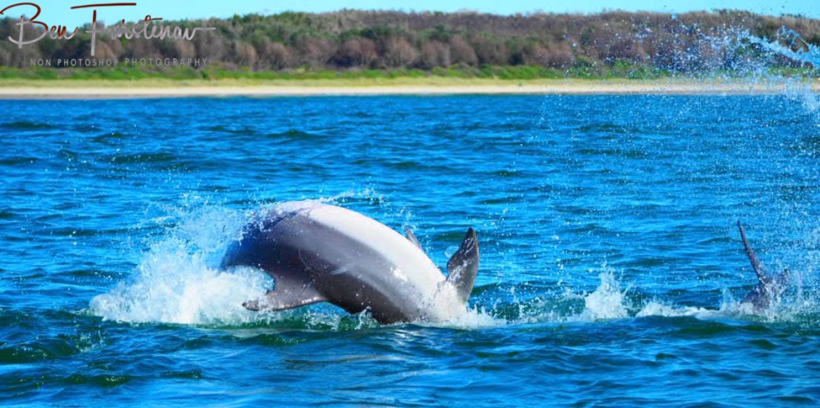 A fraction too late @ Crowdy Head, Northern New South Wales, Australia 
