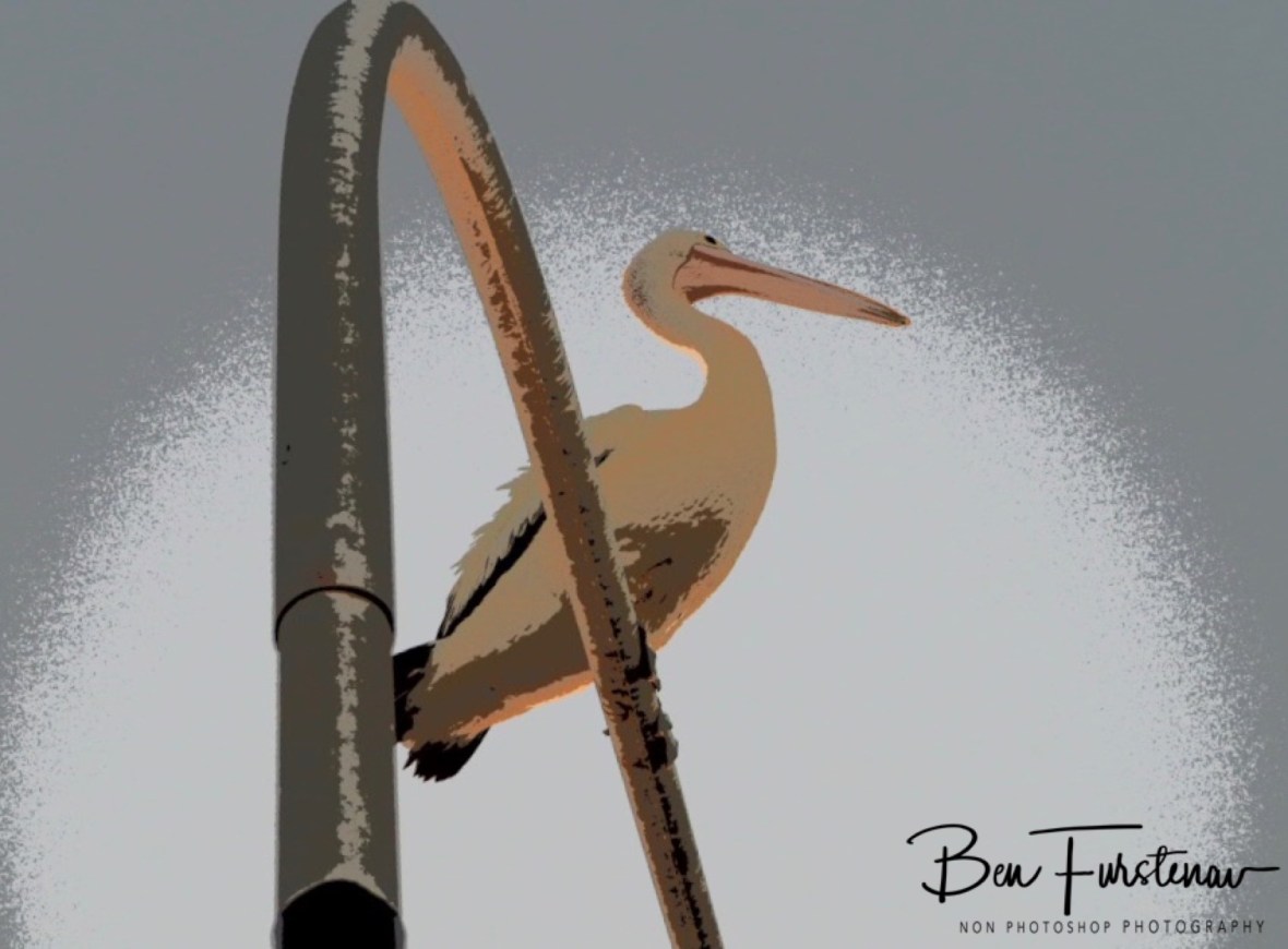 Pole dancer @ Evans Head, Northern New South Wales, Australia 