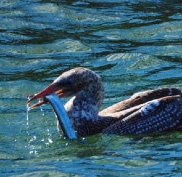 90 degree angle @ Crowdy Head, Northern New South Wales, Australia