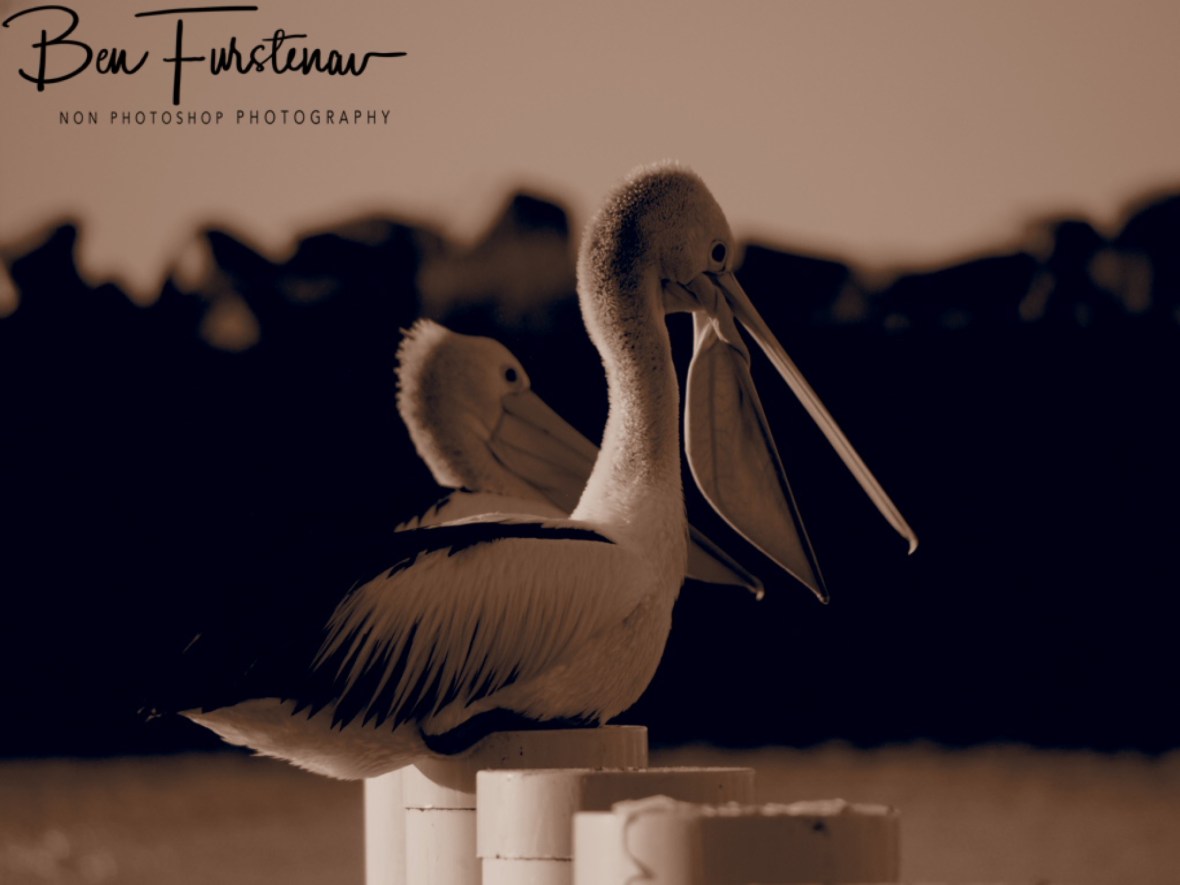 Outpost in sepia @ Crowdy Head, Northern New South Wales, Australia 
