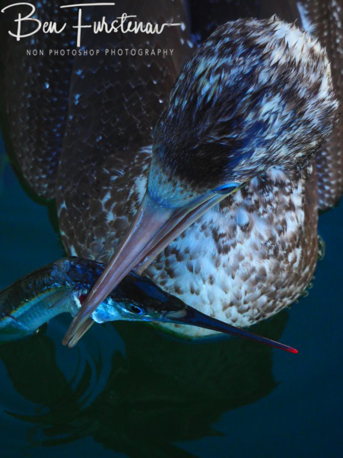 My natural objective @ Crowdy Head, Northern New South Wales, Australia 