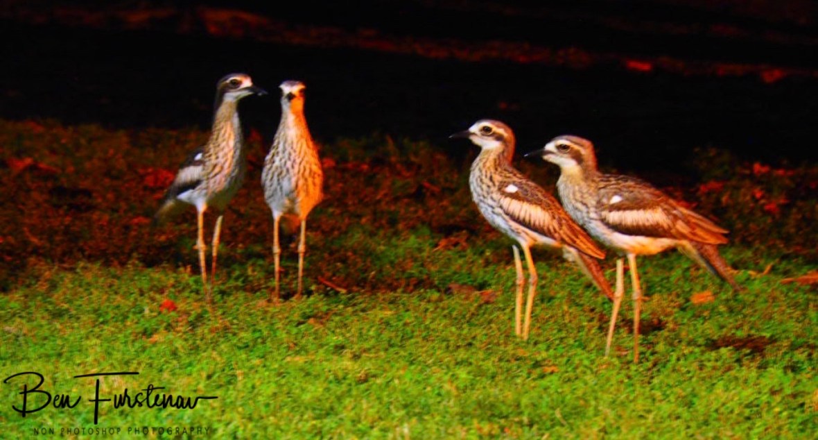 Out for a good cause @ Townsville, Northern Tropical Queensland, Australia 