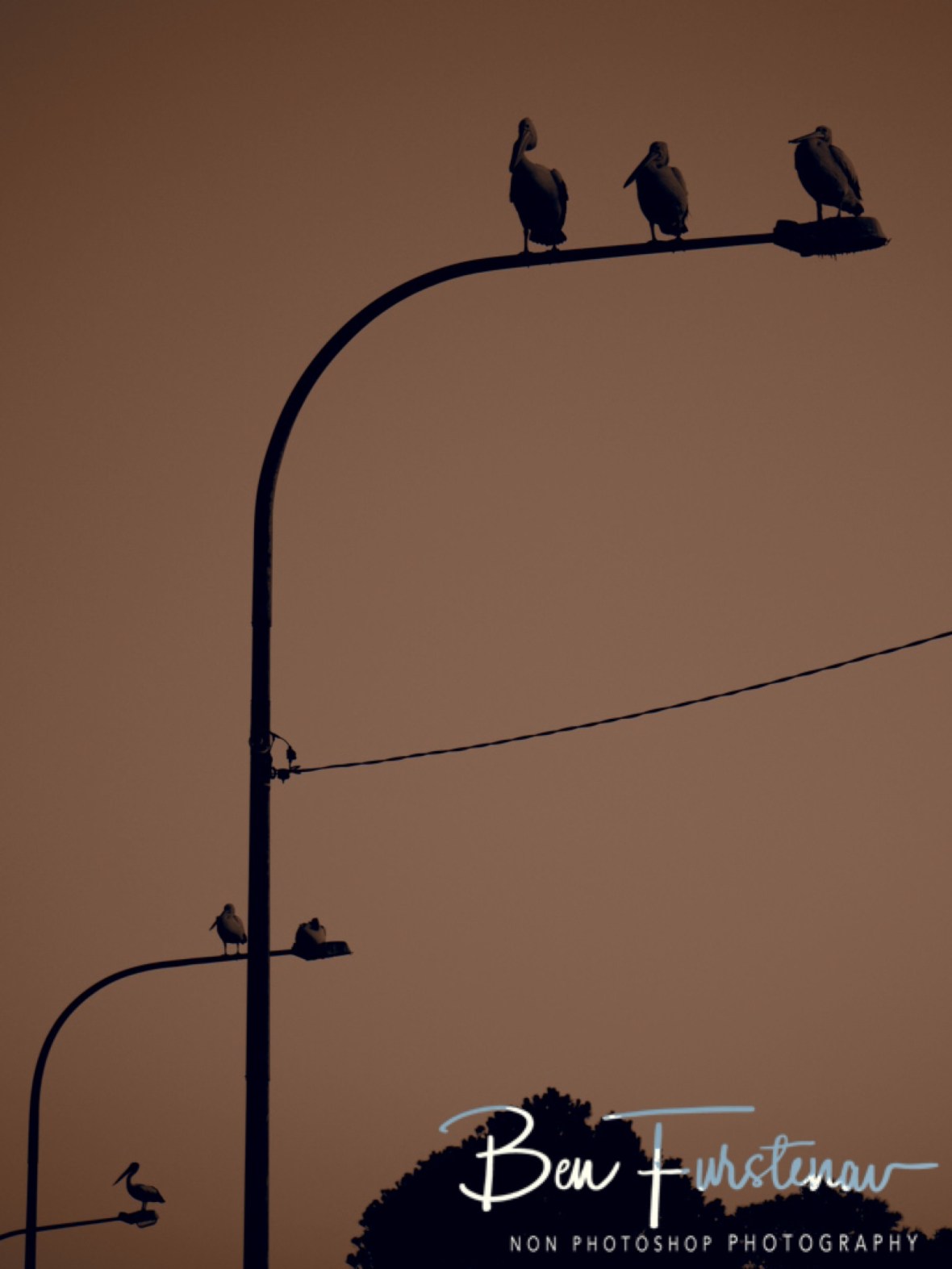 I see one, I see two, I see three @ Evans Head, Northern New South Wales, Australia 