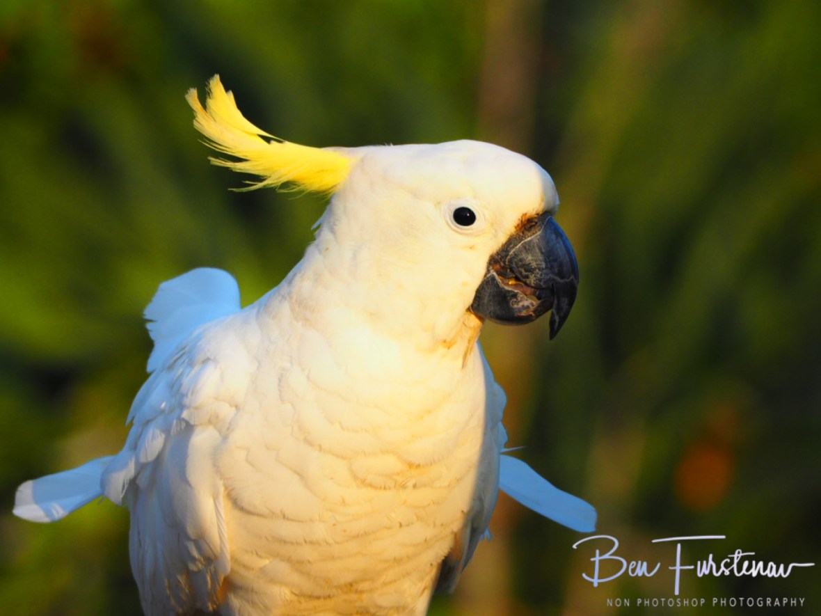 Happy customers @ Central Queensland, Australia