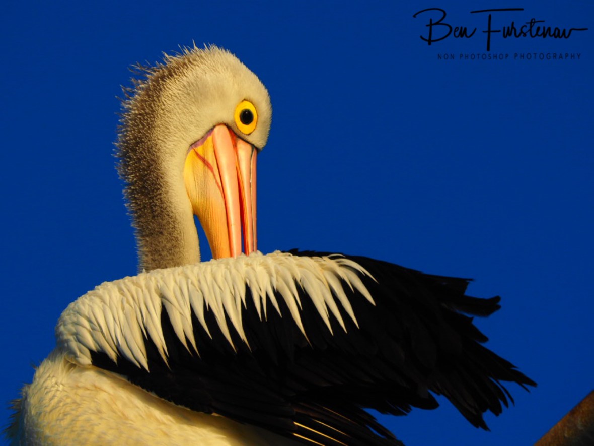 Golden hour’s colours @ Evans Head, Northern New South Wales, Australia 