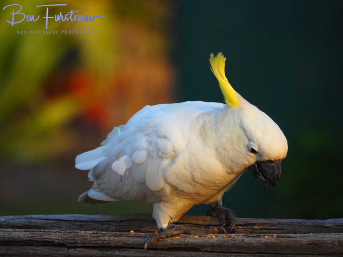 Sunset hunch @ Central Queensland, Australia 