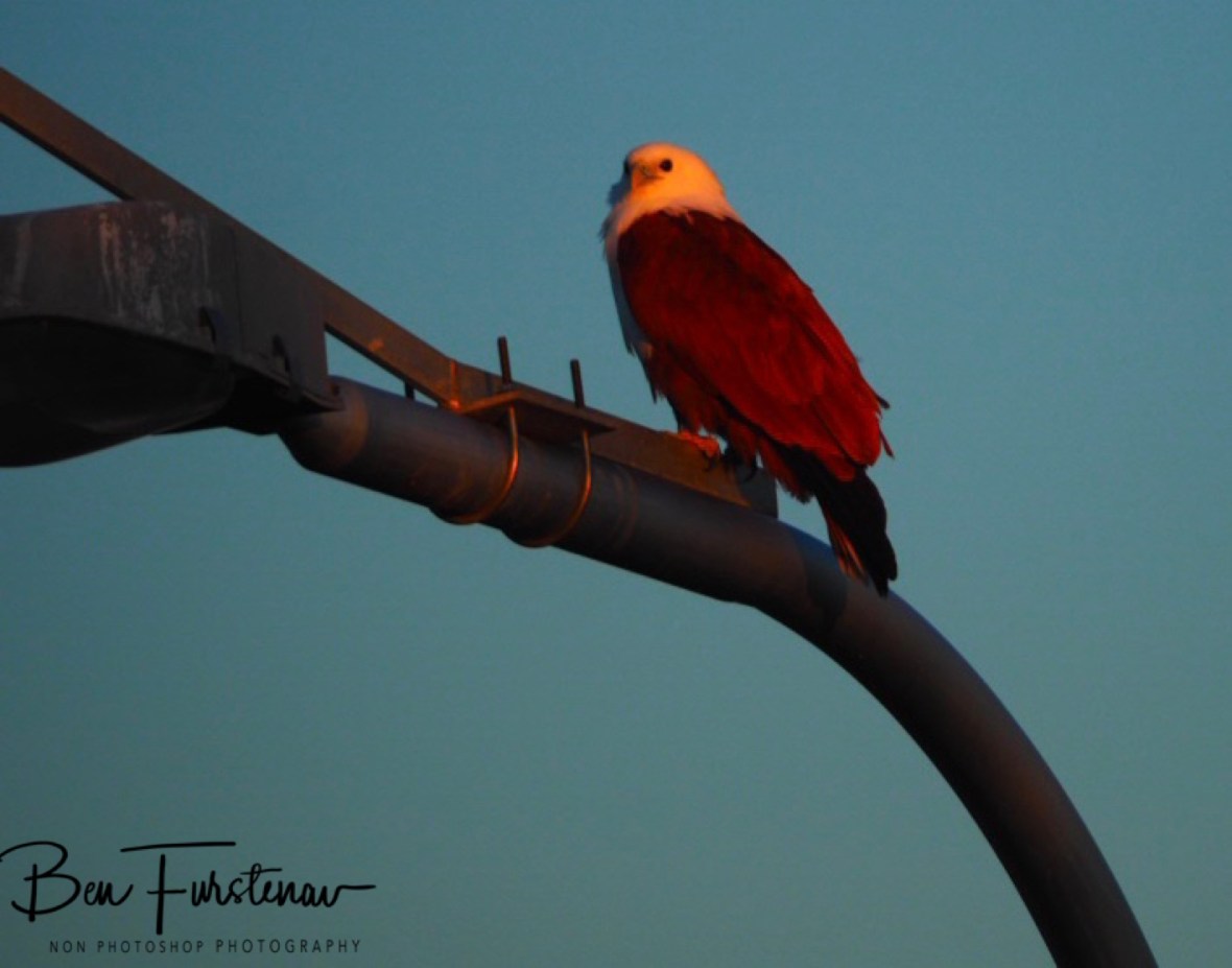 Resting in distance @ Crowdy Head, Northern New South Wales, Australia 