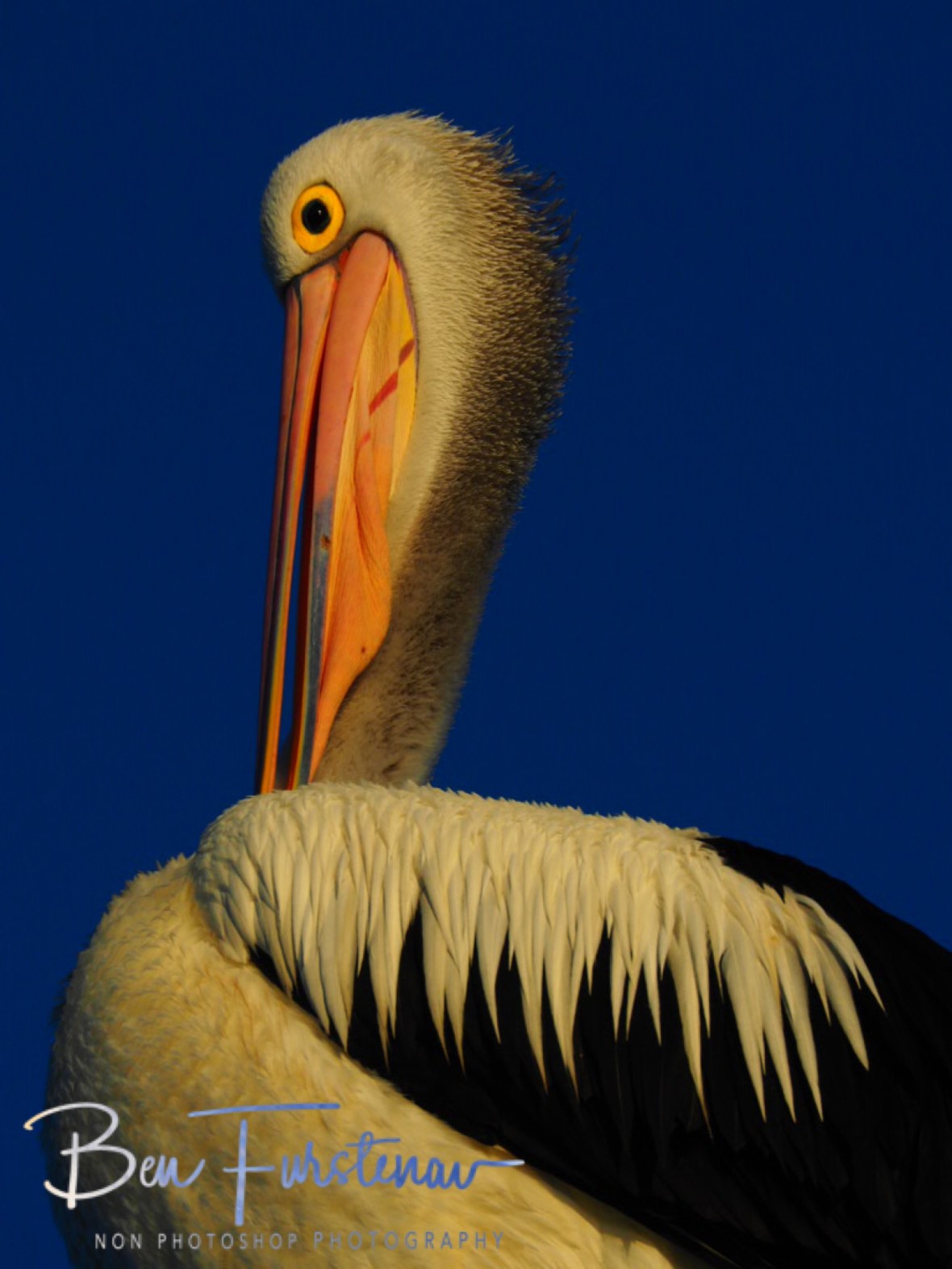 Saturated colour spectrum @ Evans Head, Northern New South Wales, Australia 