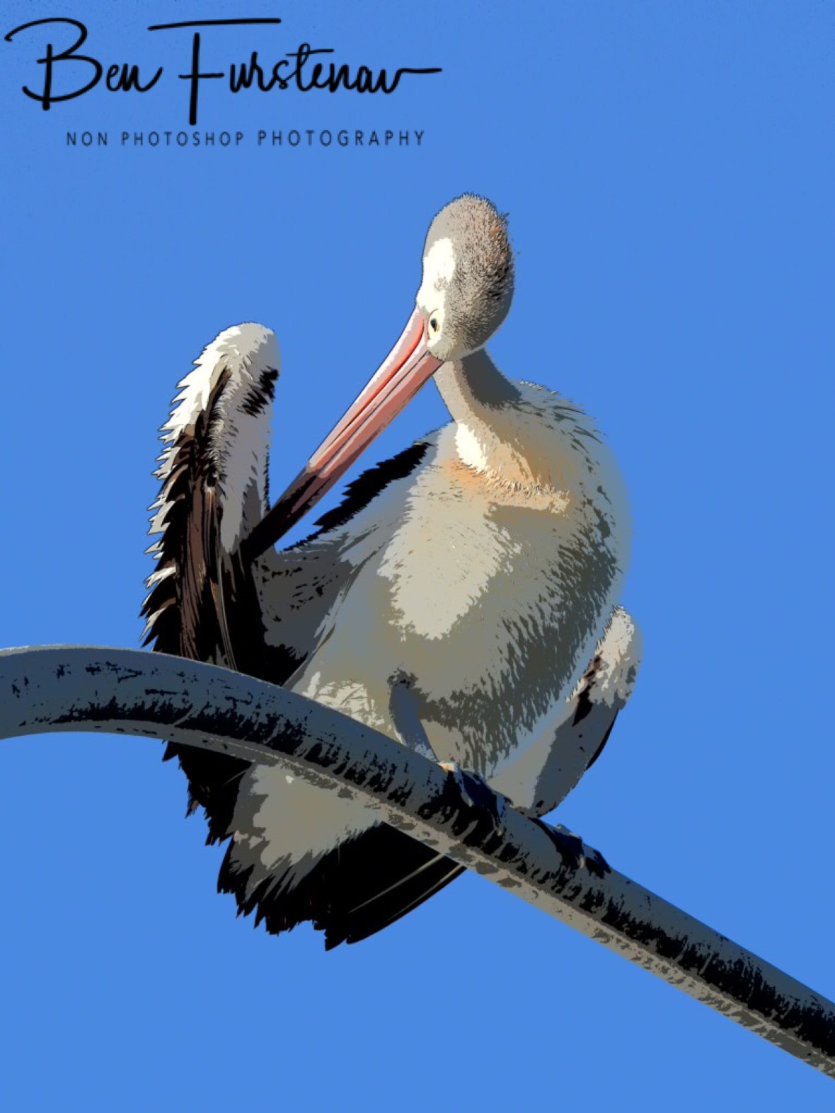 Comical  in paintings @  Evans Head, Northern New South Wales, Australia 