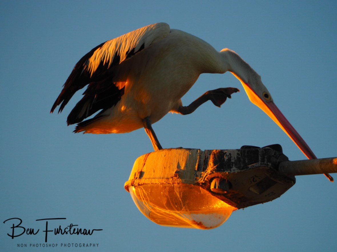 Clearly captured @ Evans Head, Northern New South Wales, Australia 