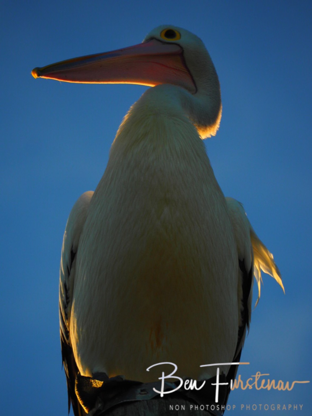Pointing towards the sun @ Evans Head, Northern New South Wales, Australia 