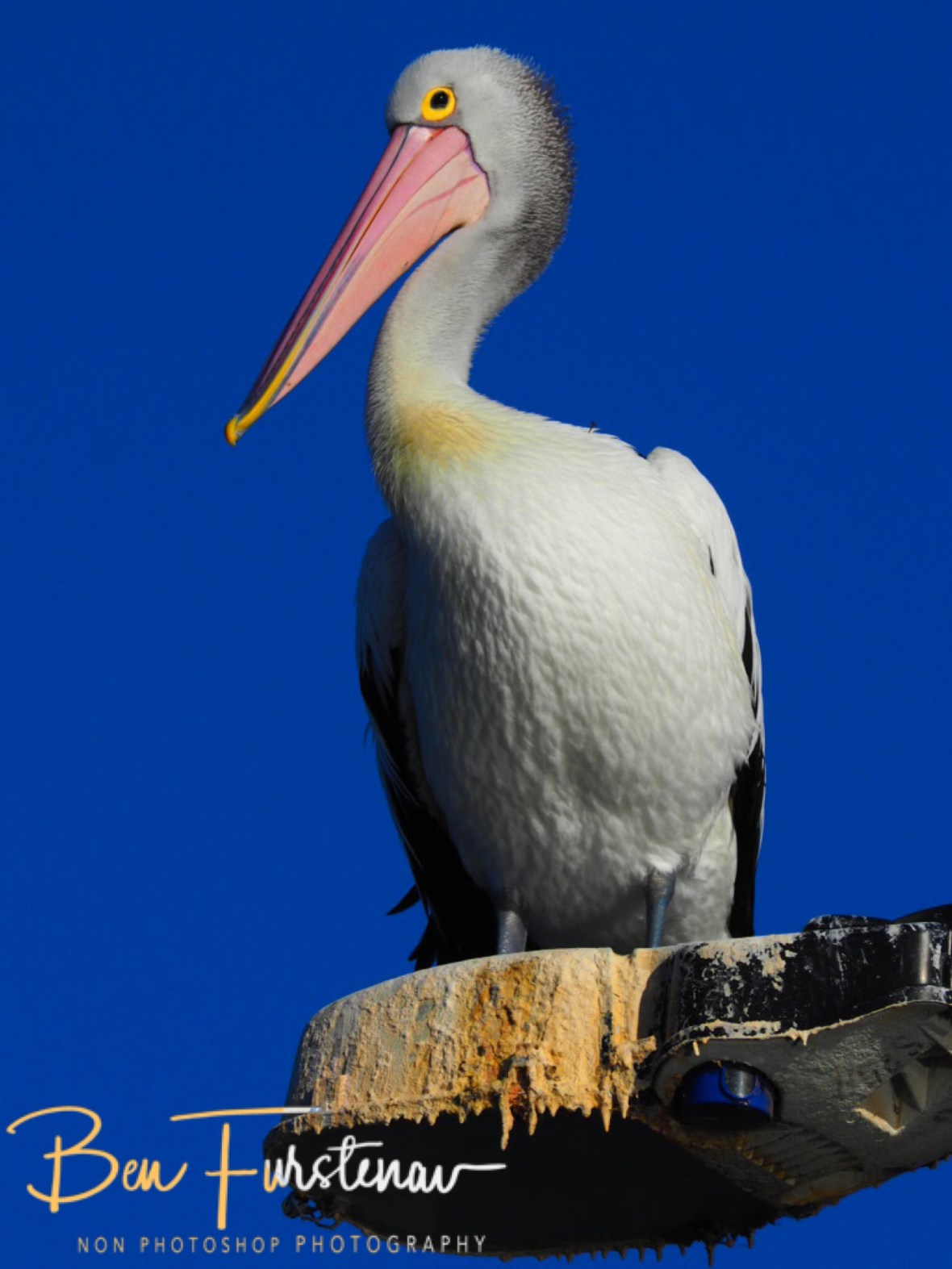 Saturated colours with the sun @ Evans Head, Northern New South Wales, Australia 