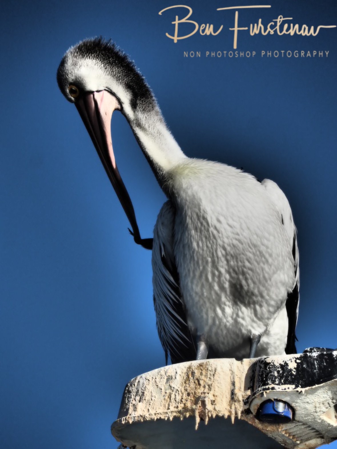 Stable platform @ Evans Head, Northern New South Wales, Australia 