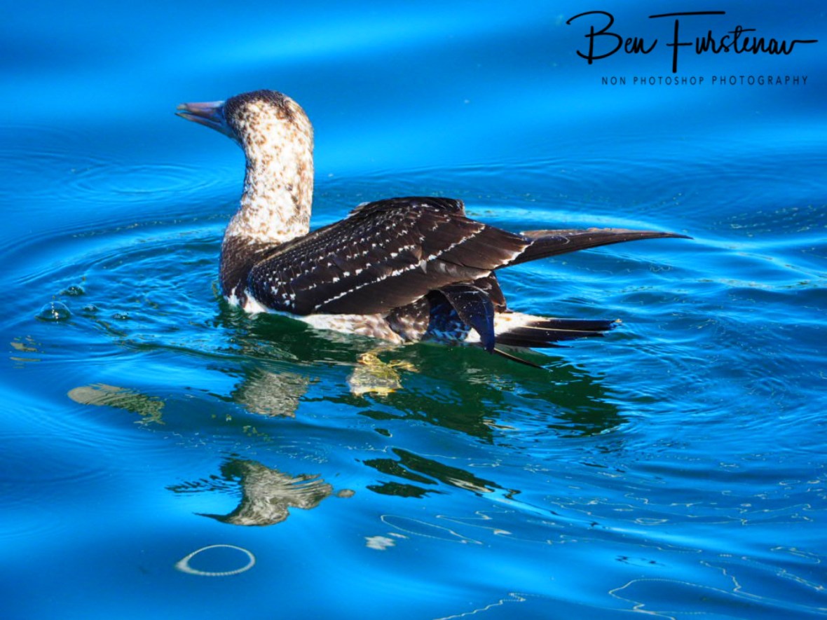 Reflecting on the years @ Crowdy Head, Northern New South Wales, Australia