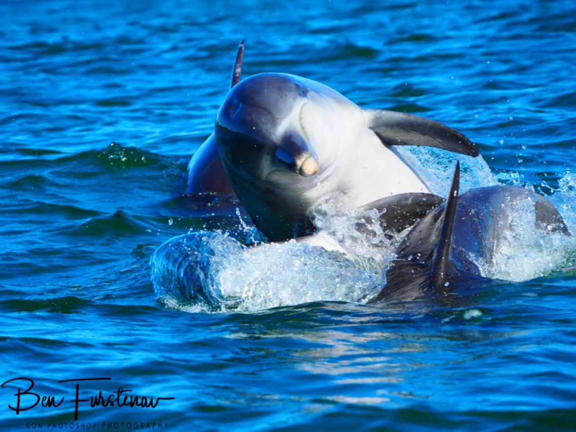 Perfect timing @ Crowdy Head, Northern New South Wales, Australia 
