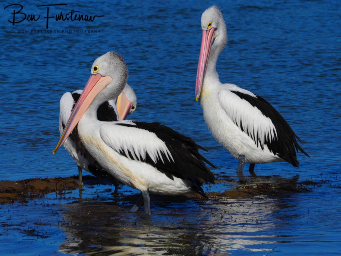 Lunch break @ Nambucca, Northern New South Wales, Australia 