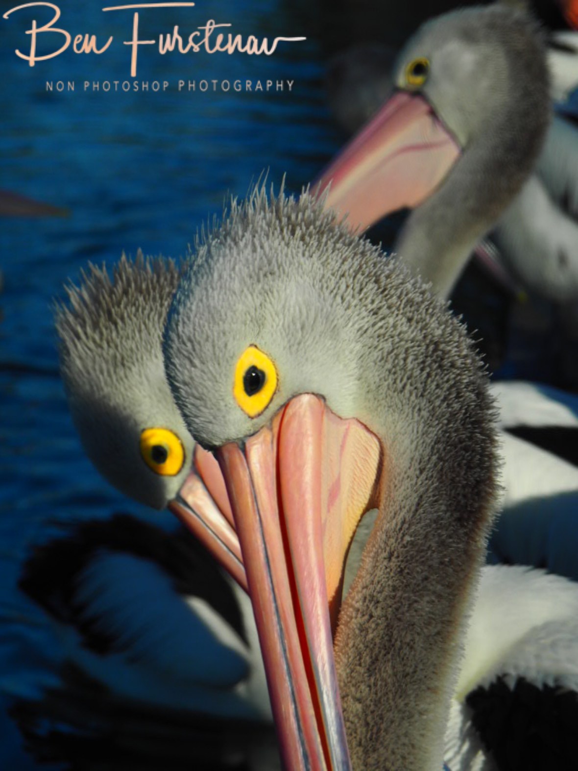 Lead up @ The Entrance, Central Coast, New South Wales, Australia