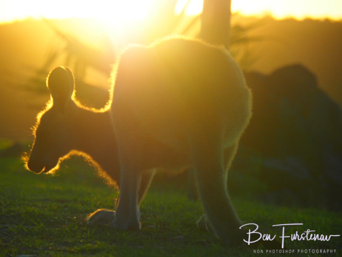 Fabulous day @ Woody Head, Northern New South Wales, Australia