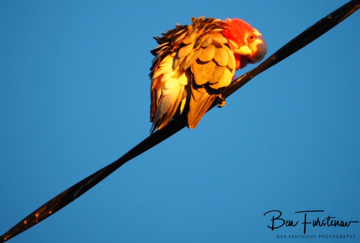 Colour complexion @ Evans Head, Northern New South Wales, Australia