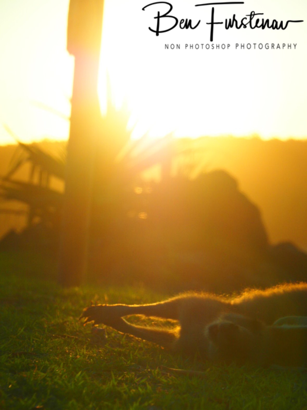 Just lazing in the sun @ Woody Head, Northern New South Wales, Australia