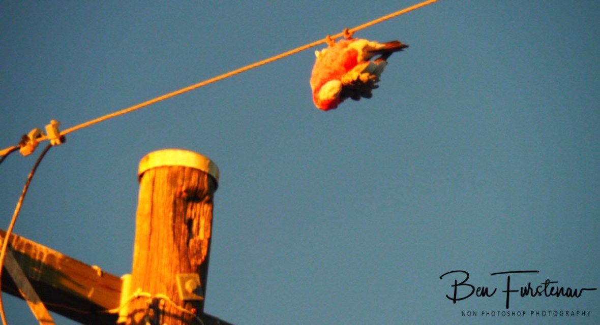 Spinning out @ Evans Head, Northern New South Wales, Australia