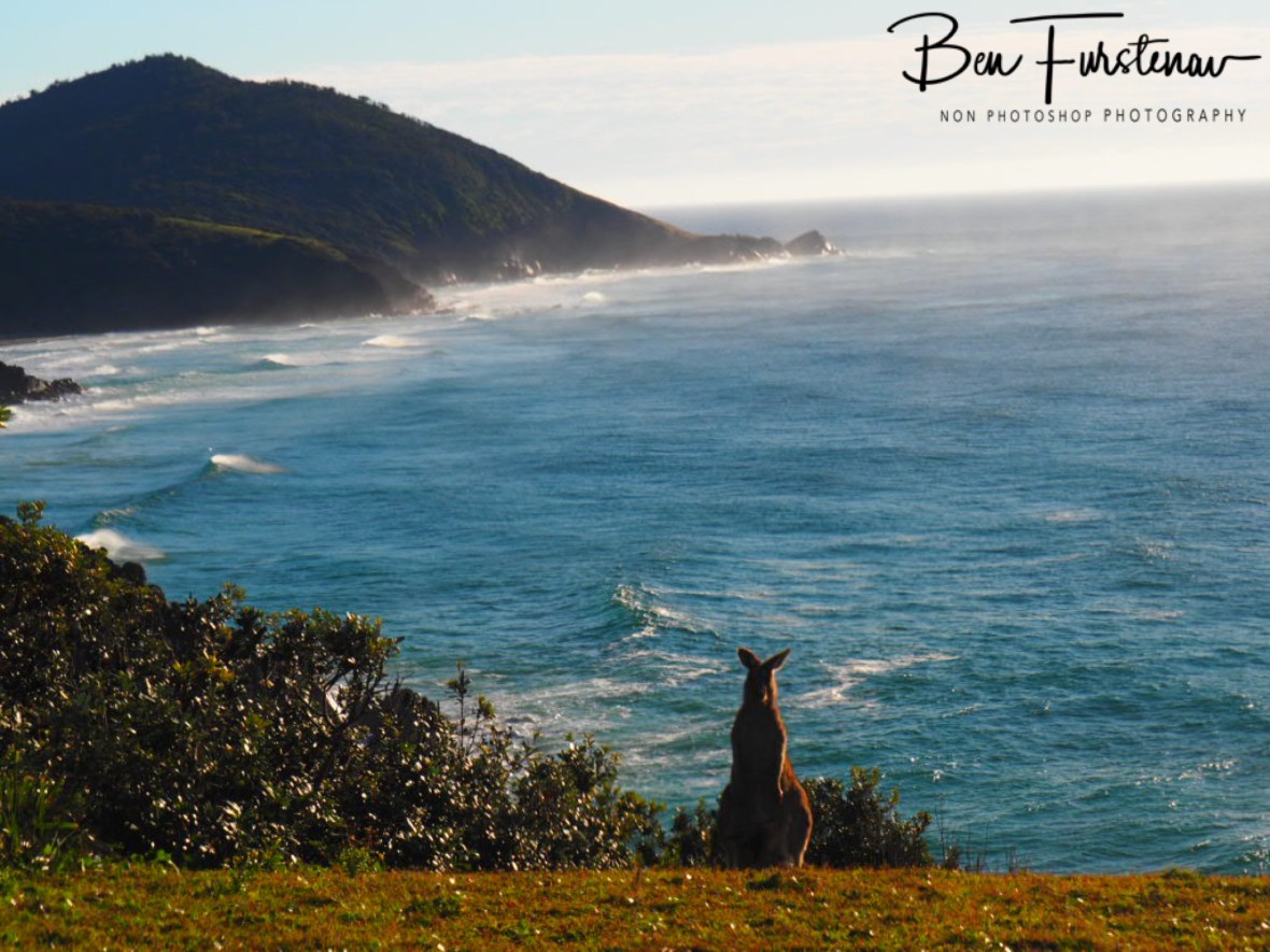 Fishing? at Kemp’s Corner @ Hat Head National Park, Northern New South Wales, Australia