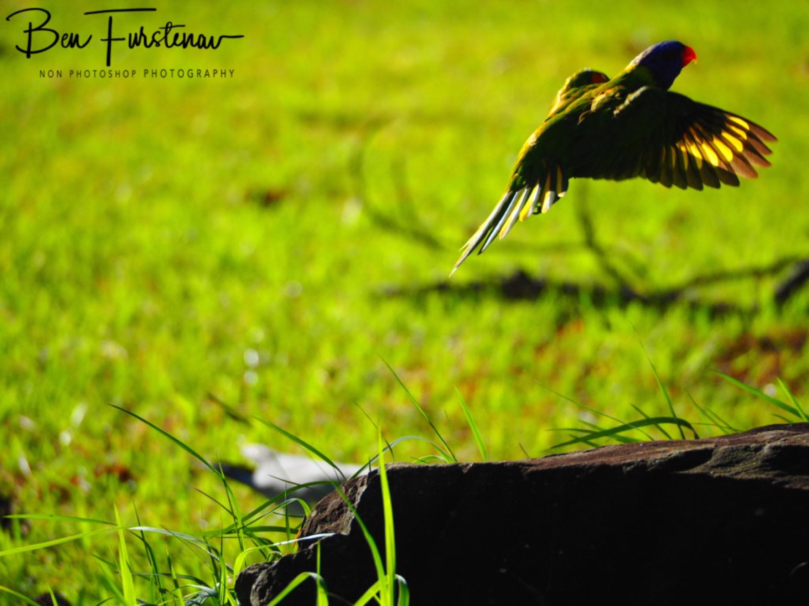 Random @ Evans Head, Northern New South Wales, Australia