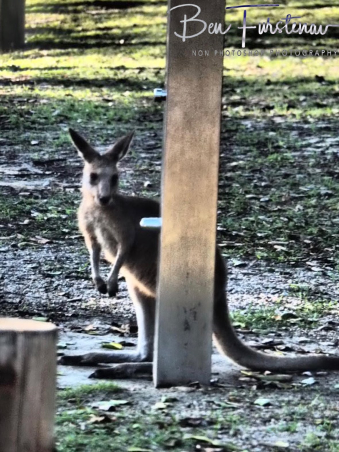 No business like shower business @ Woody Head, Northern New South Wales, Australia