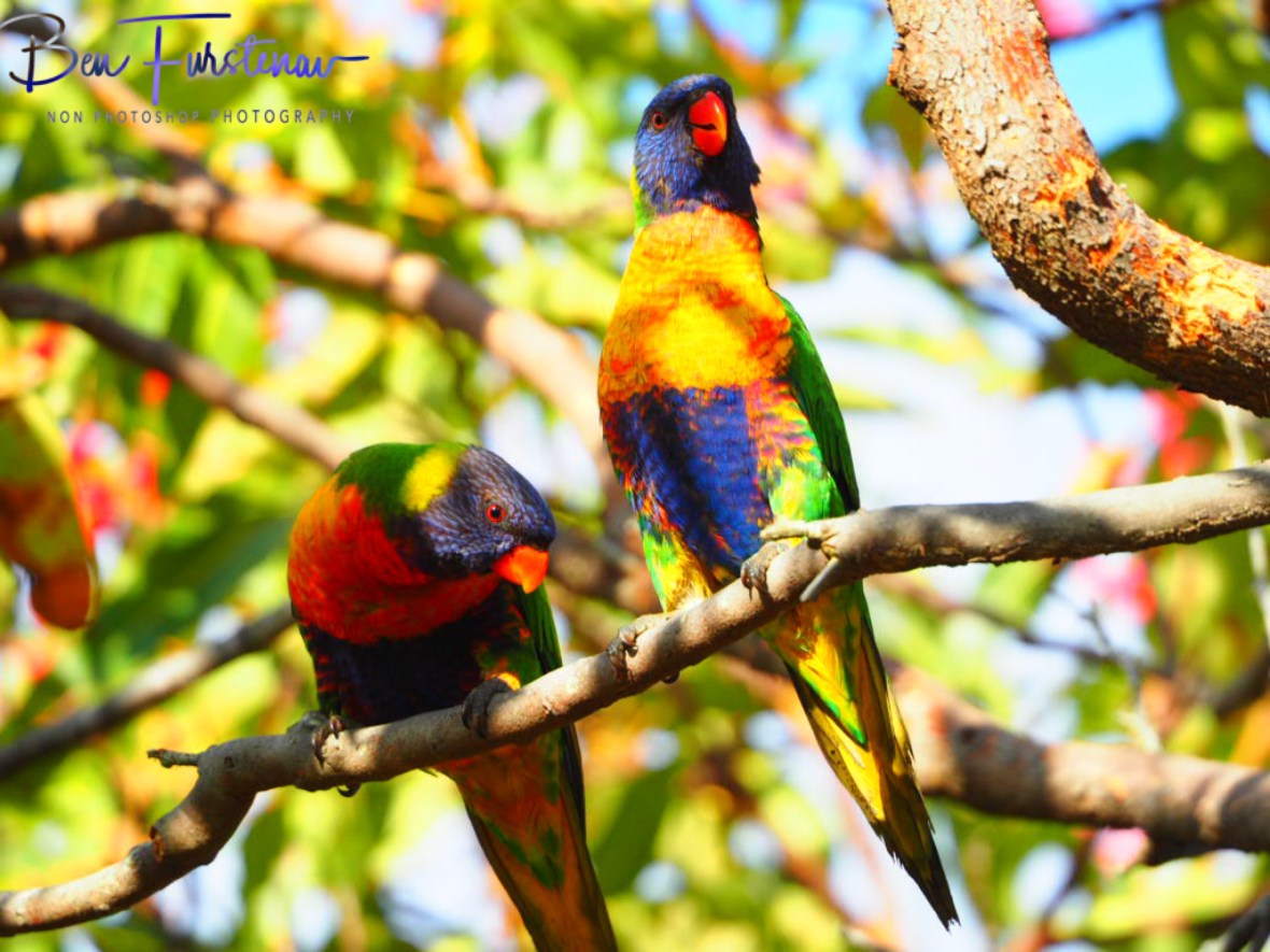 Early morning update @ Evans Head, Northern New South Wales, Australia