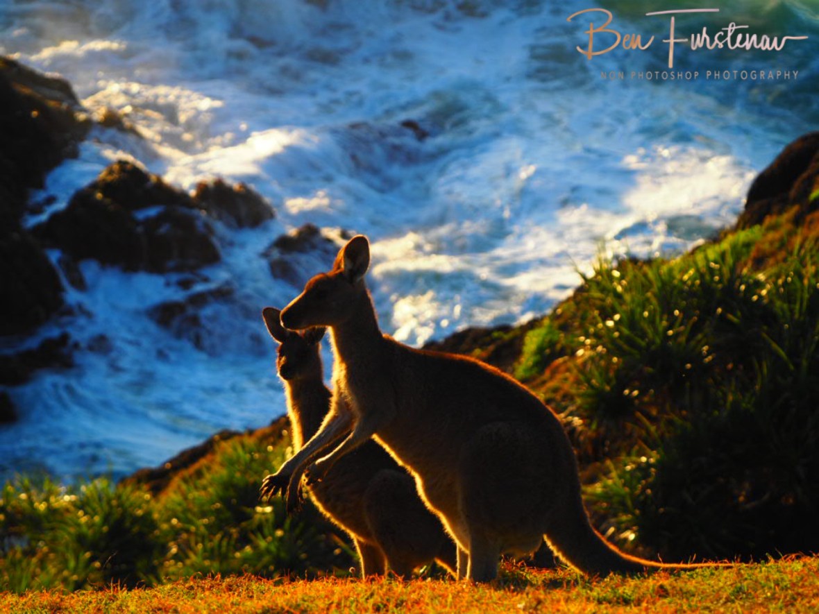 Serenity by the ocean at Kemp’s Corner @ Hat Head National Park, Northern New South Wales, Australia