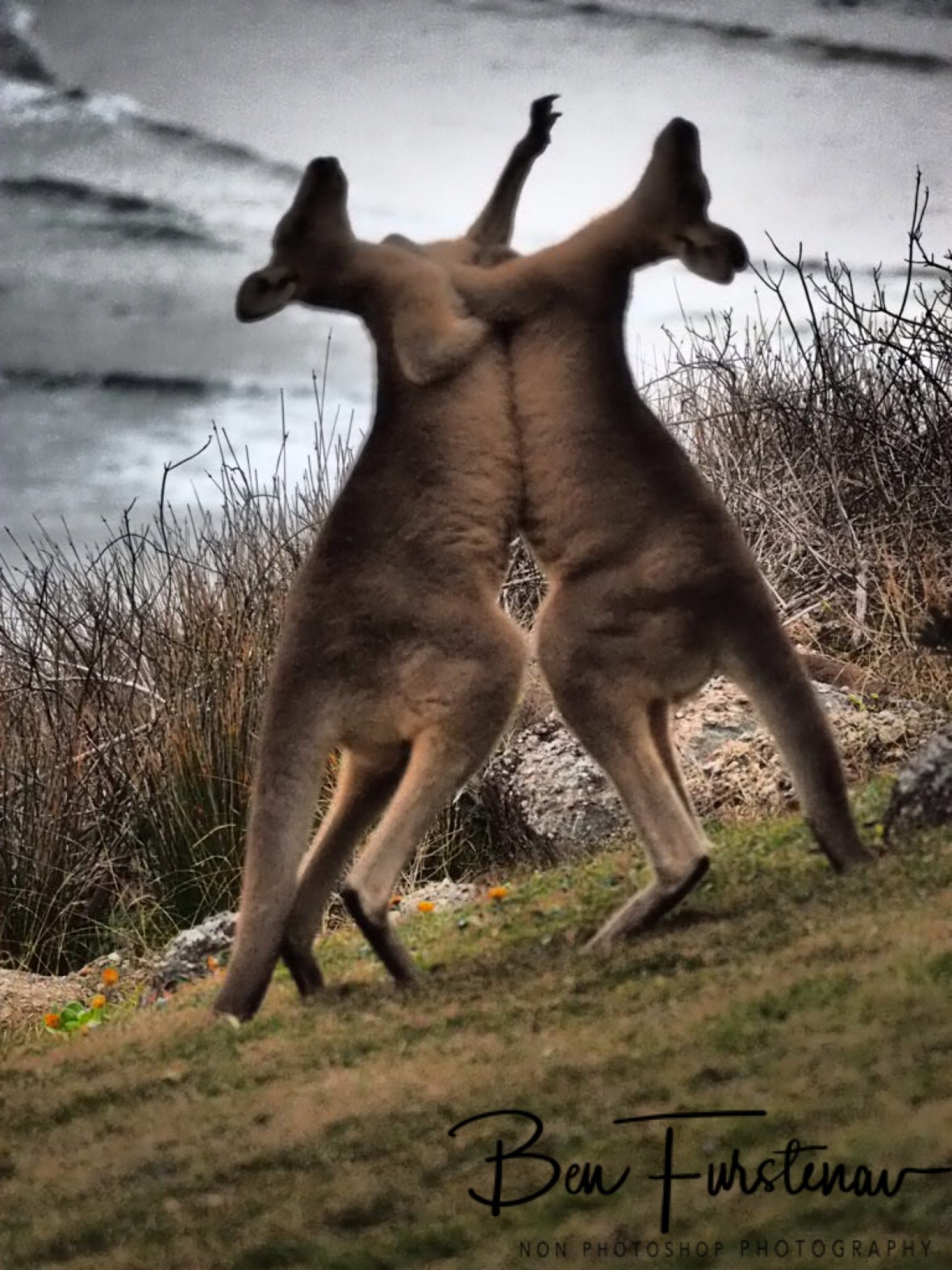 Technique is key @ Hat Head National Park, Northern New South Wales, Australia