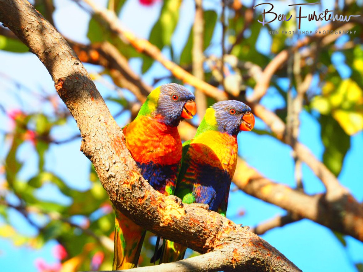 Same story every morning @ Evans Head, Northern New South Wales, Australia