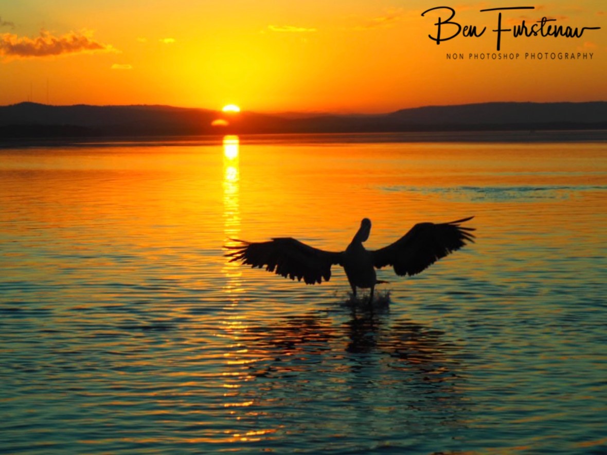 4100B2E4-39DE-4436-905C-565656BAB1C7