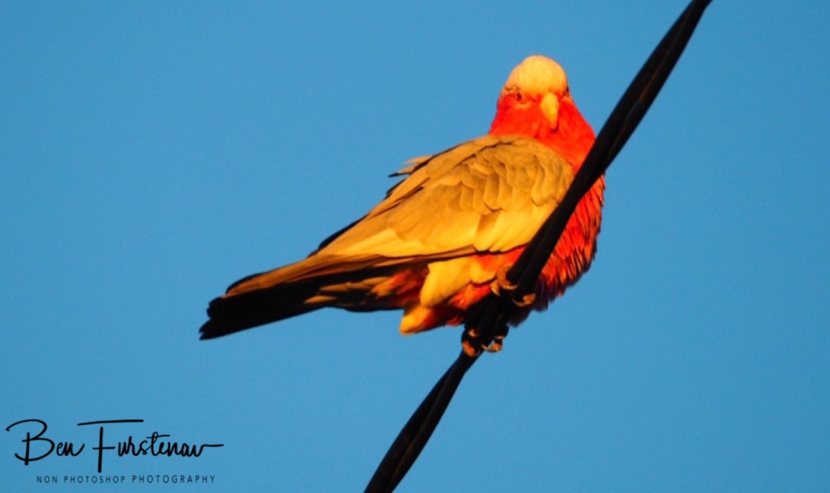 Colourful with setting sun rays @ Evans Head, Northern New South Wales, Australia