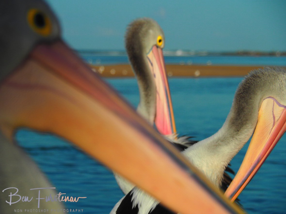 Aperture playground @ The Entrance, Central Coast, New South Wales, Australia