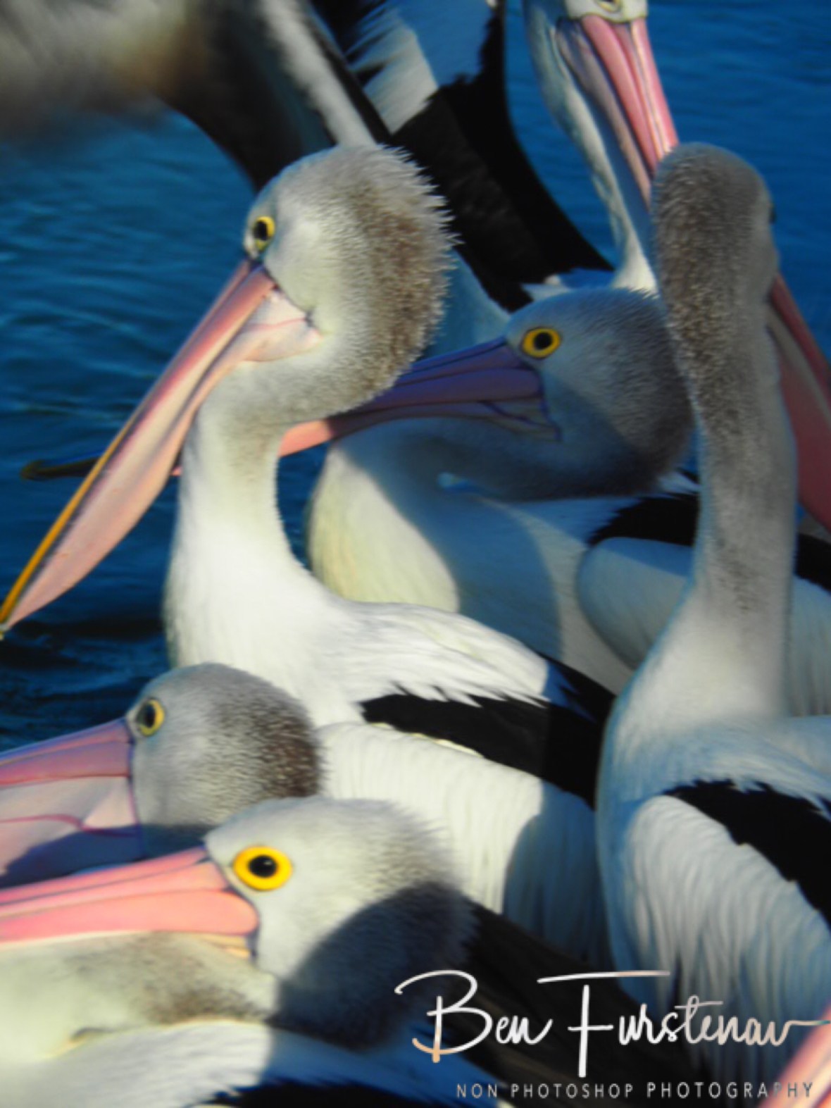 Tight entrance @ The Entrance, Central Coast, New South Wales, Australia