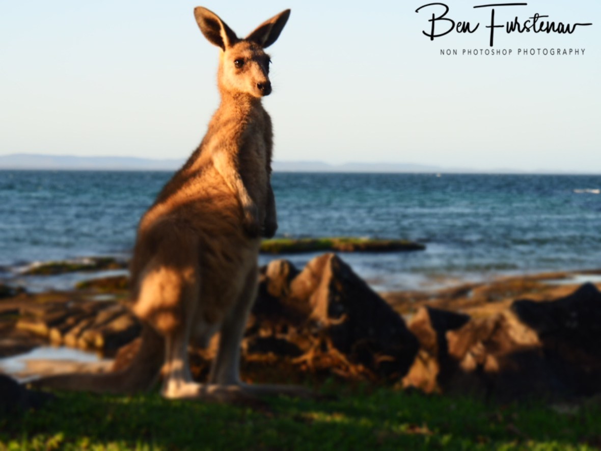 Ocean paradise @ Woody Head, Northern New South Wales, Australia