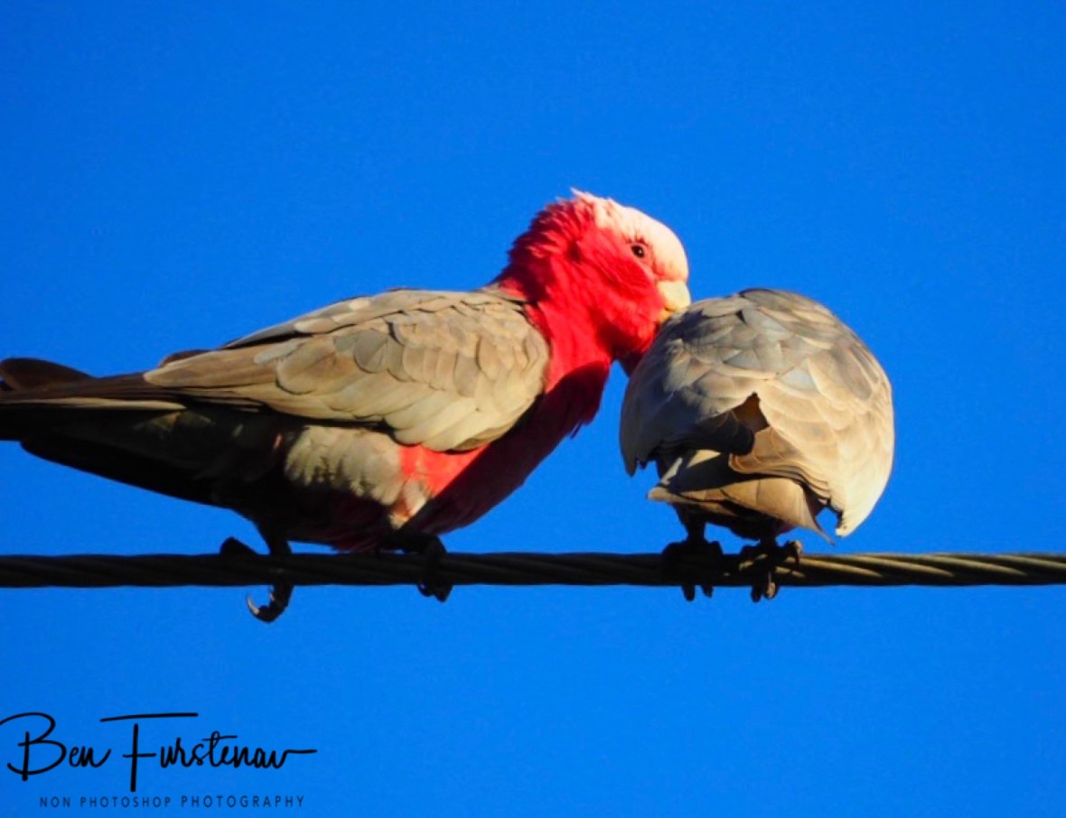 My turn @ Woolgoolga, Northern New South Wales, Australia