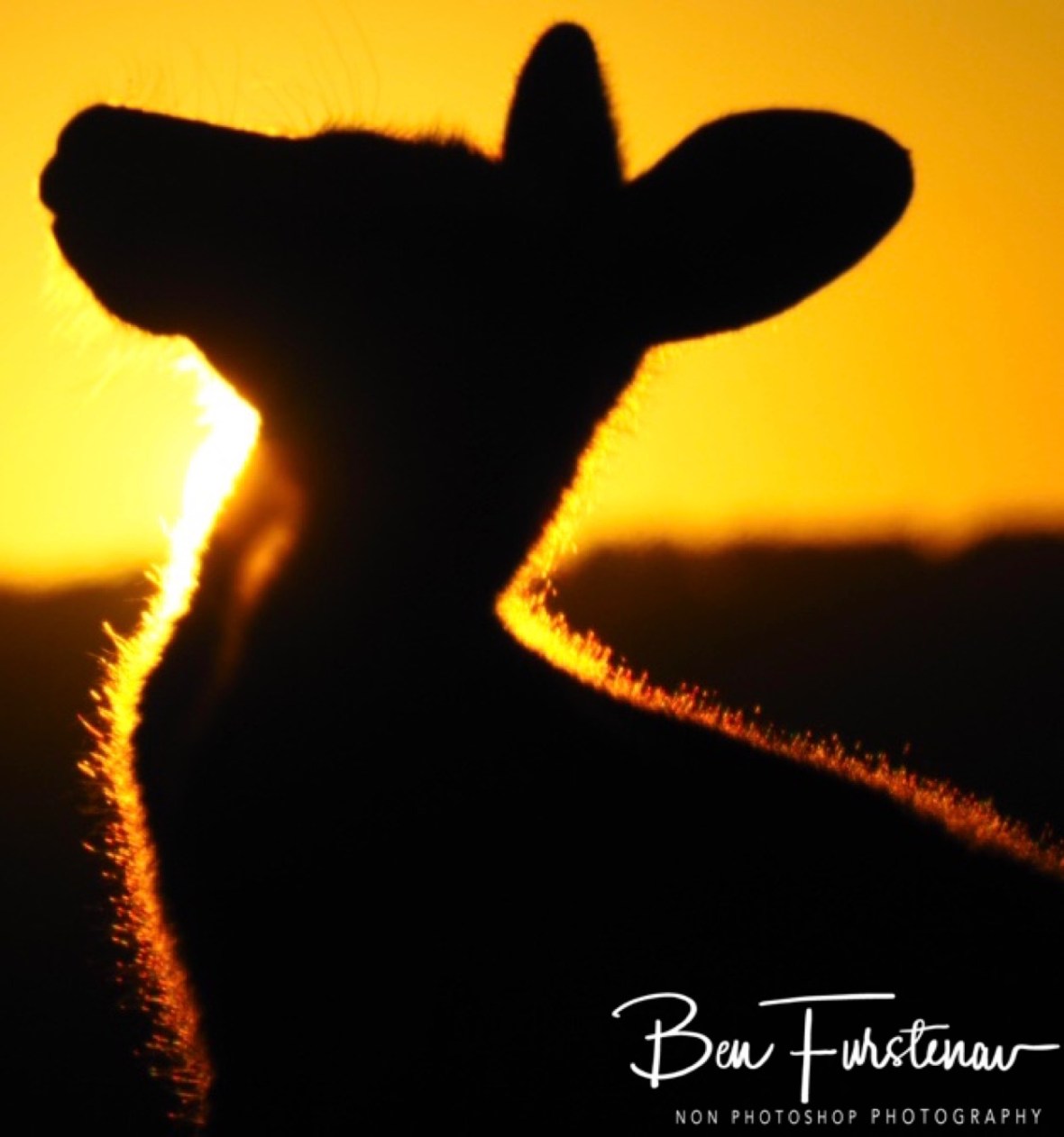 Room for more @ Woody Head, Northern New South Wales, Australia