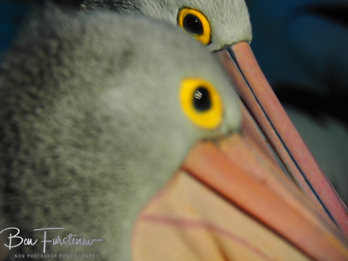 Mind set @ The Entrance, Central Coast, New South Wales, Australia