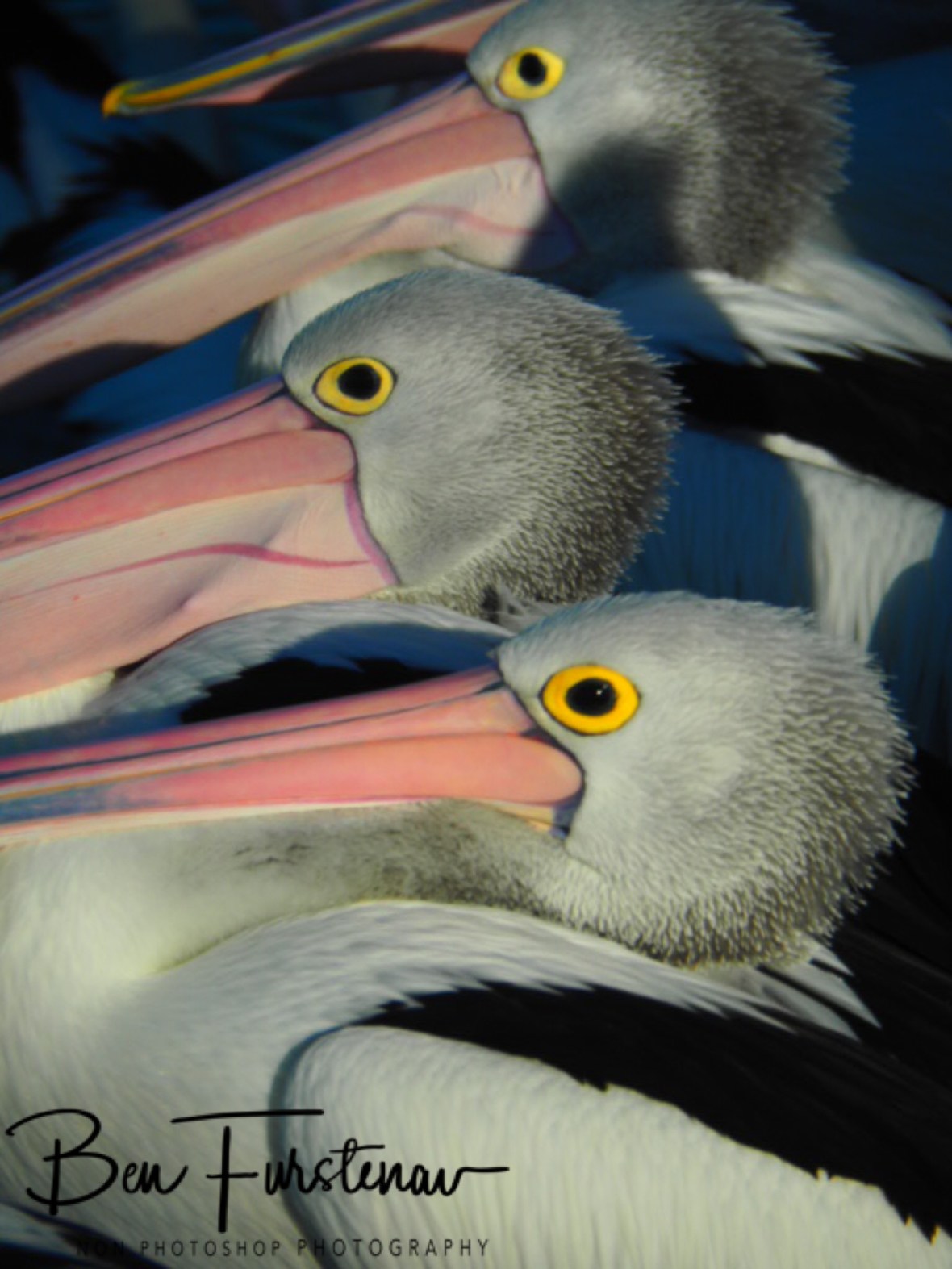 Sooo tired! @ The Entrance, Central Coast, New South Wales, Australia