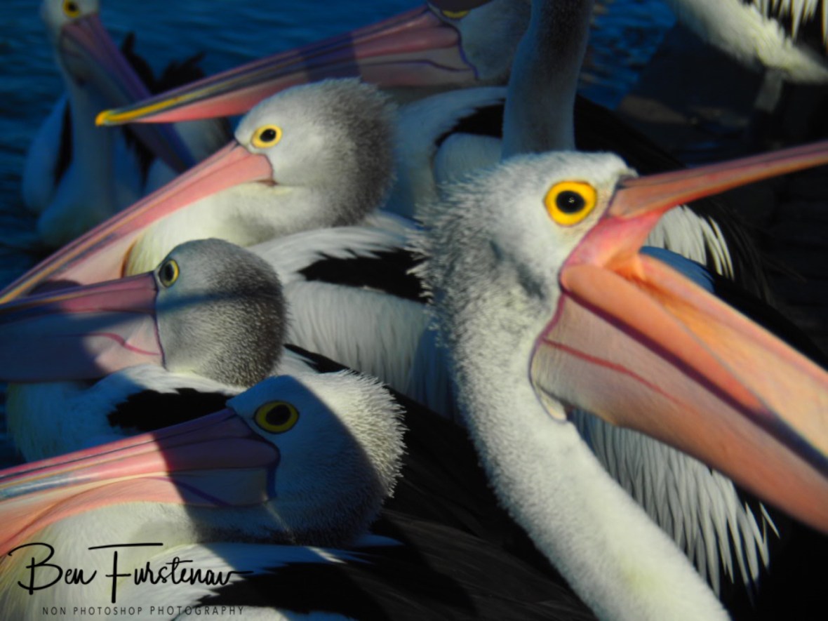 Tickets @ The Entrance, Central Coast, New South Wales, Australia