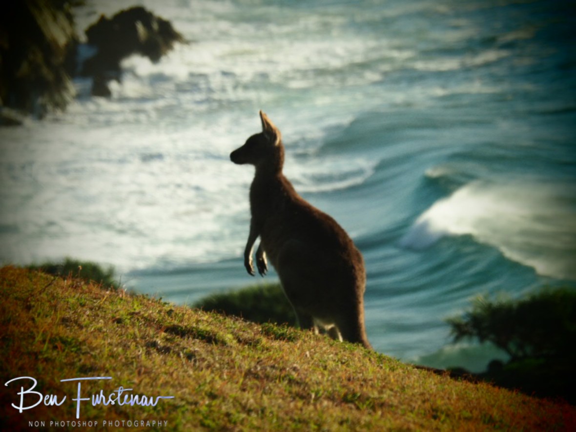 Hearing aid at Kemp’s Corner @ Hat Head National Park, Northern New South Wales, Australia