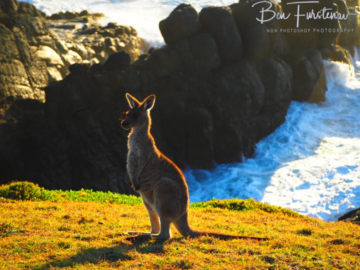 8E35BEEA-E60C-4671-9988-7A362ABB7ECE