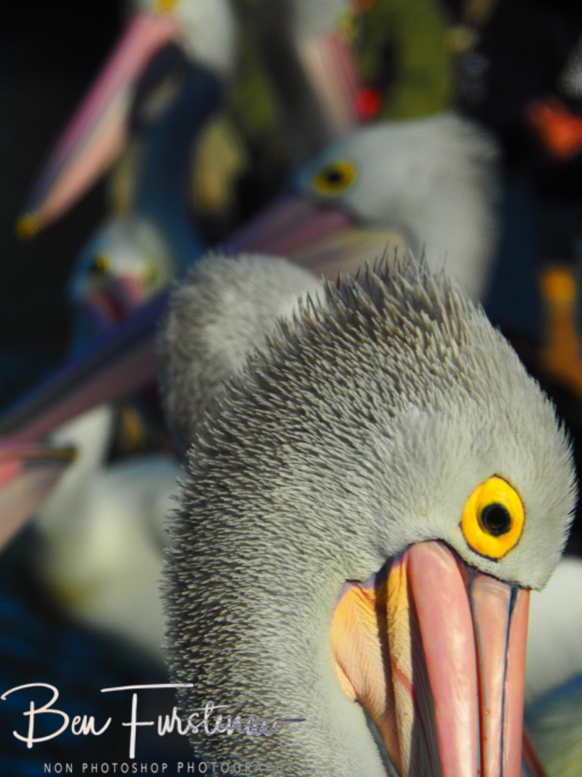 I need food! @ The Entrance, Central Coast, New South Wales, Australia