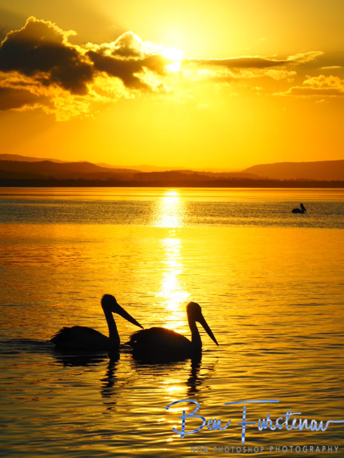 Reflections @ The Entrance, Central Coast, New South Wales, Australia