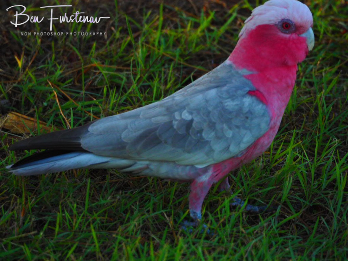 Shadow spectrum @ Evans Head, Northern New South Wales, Australia