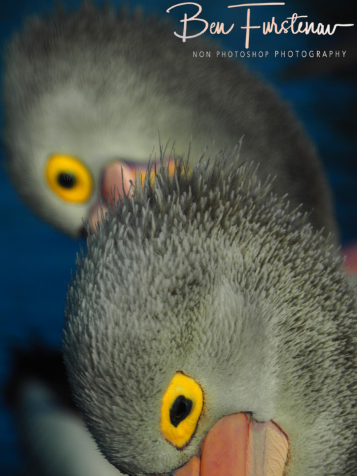 Spooky @ The Entrance, Central Coast, New South Wales, Australia