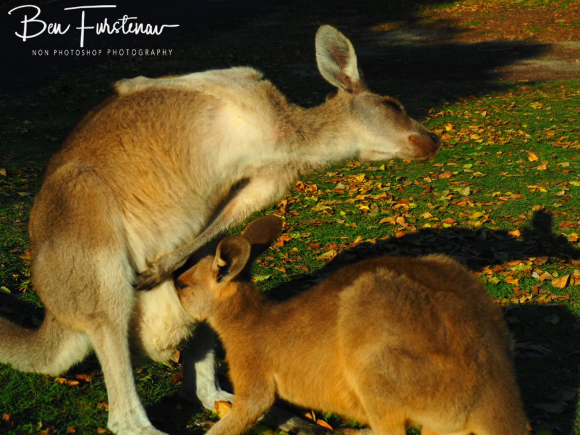 That’s the spot @ Woody Head, Northern New South Wales, Australia